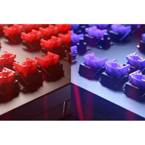 Razer Łowca V2 bez klaw. num., klaw. do gier, optyczna, LED RGB, Stany Zjednoczone, czarny, przewodowe, klikający fioletowy prze