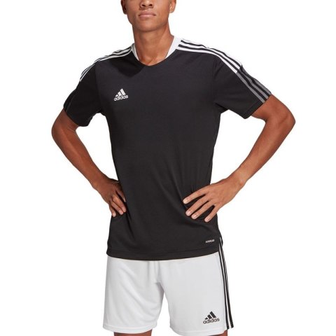 Koszulka adidas Tiro 21 Training Jersey M GM7586 Adidas