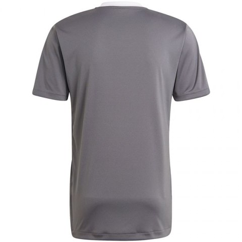 Koszulka adidas Tiro 21 Training Jersey M GM7587 Adidas
