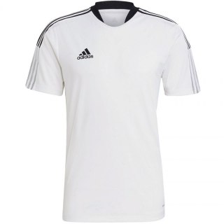 Koszulka adidas Tiro 21 Training Jersey M GM7590 Adidas