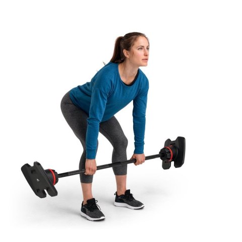 Zestaw sztang regulowanych Bowflex 2080 SelectTech 100874 Bowflex