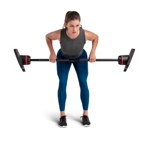 Zestaw sztang regulowanych Bowflex 2080 SelectTech 100874 Bowflex