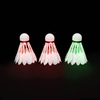 NBL6223 LOTKI Z PIÓR LED 3 SZT. NILS NILS