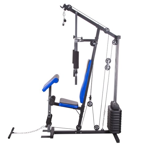 HEKTOR 3 ATLAS 100 LBS (45 KG) ONE FITNESS ONE FITNESS