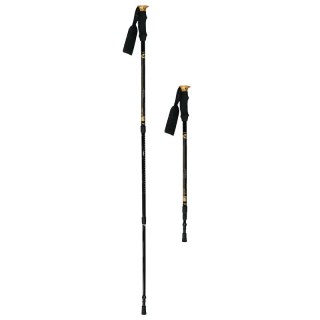 NW-TK19 KIJE TREKKING/NORDIC WALKING 50% CARBON NILS NILS