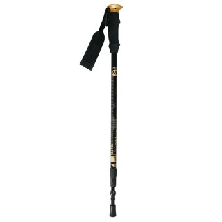 NW-TK19 KIJE TREKKING/NORDIC WALKING 50% CARBON NILS NILS