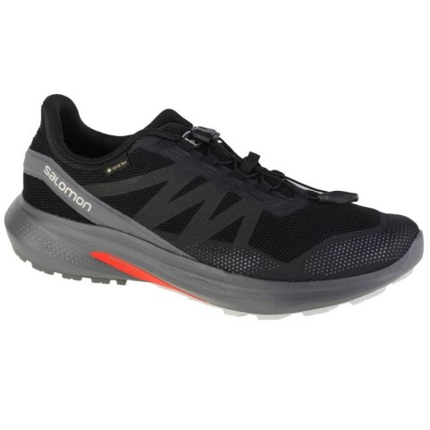 Buty do biegania Salomon Hypulse Gtx M 415959 Salomon