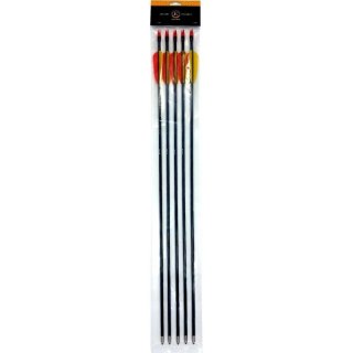 Strzały z włókna szklanego 28" Poe Lang - zestaw 5 sztuk (D-055-B3)