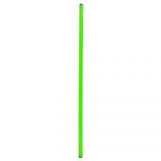 LASKA GIMNASTYCZNA NO10 120cm SPR-25120 G