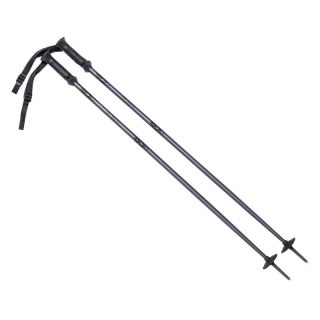 Kije ALPINE SKI II