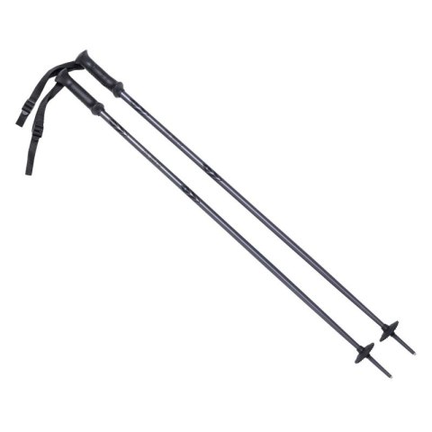 Kije ALPINE SKI II