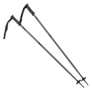 Kije ALPINE SKI II
