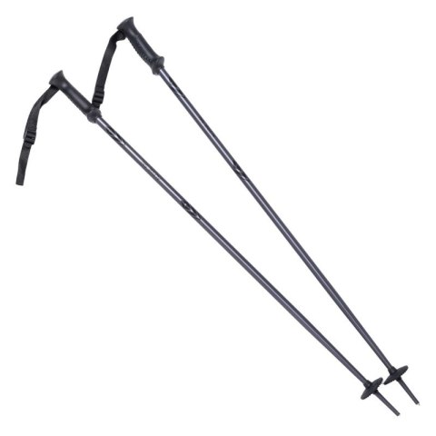 Kije ALPINE SKI II