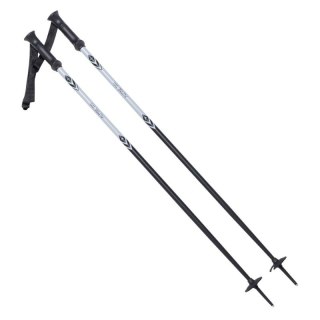 Kije ALPINE SKI II