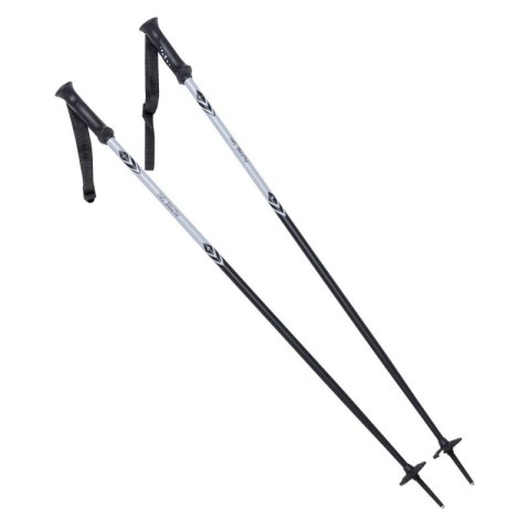 Kije ALPINE SKI II