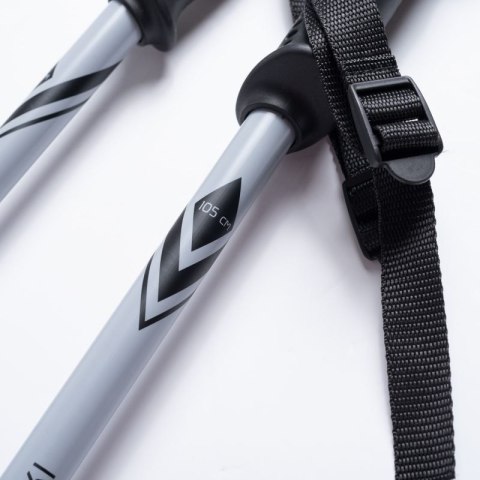Kije ALPINE SKI II