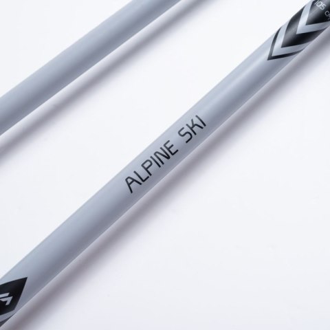 Kije ALPINE SKI II