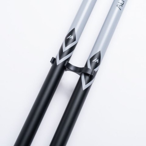 Kije ALPINE SKI II