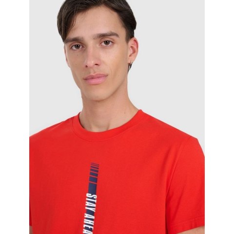 T-shirt regular z nadrukiem męski 4F 4FRAW25TTSHM3225-62S