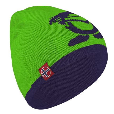 Czapka zimowa dziecięca Trollkids Kids Troll Beanie dzianinowa dziewczęca/chłopięca zielona (920-100) Trollkids