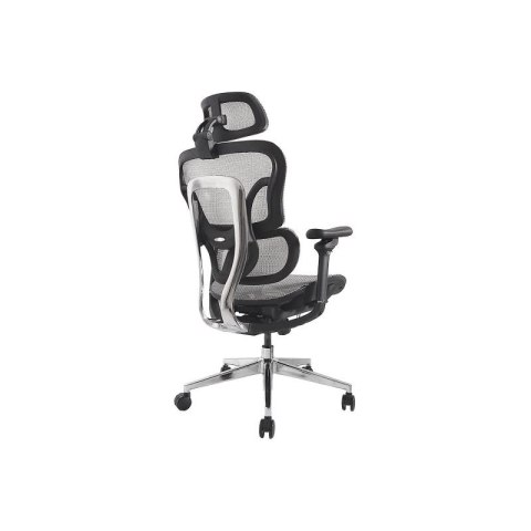 Wyposażenie Ergonomiczne Krzesło Biurowe + Zagłówek/Podłokietniki Szare Lite Sprzedaż Detaliczna