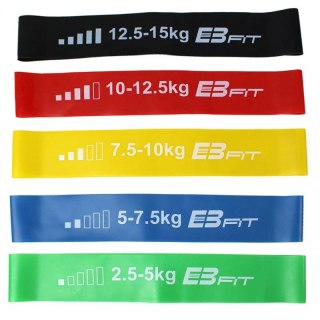 Zestaw gum do ćwiczeń Fitnnes Crosfit mini Band 5w1 EB FIT 1028842 Inny