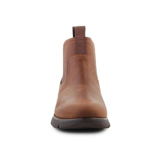 Skechers Augustino Paulo 205227-CHOC Chocolate Skechers