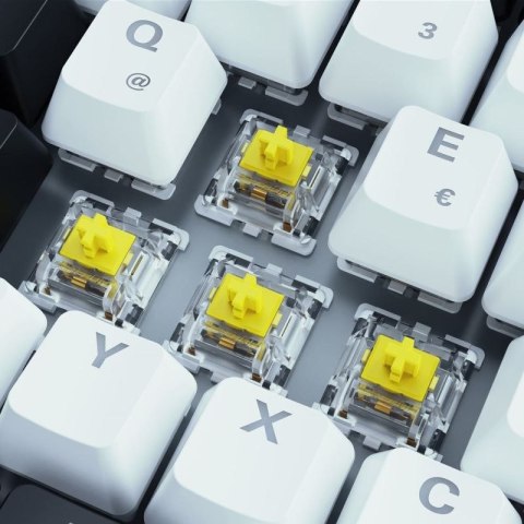 Klawiatura gamingowa Sharkoon SKILLER SGK50 S3 USB QWERTZ Niemiecki Biała