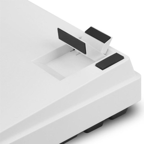 Klawiatura gamingowa Sharkoon SKILLER SGK50 S3 USB QWERTZ Niemiecki Biała
