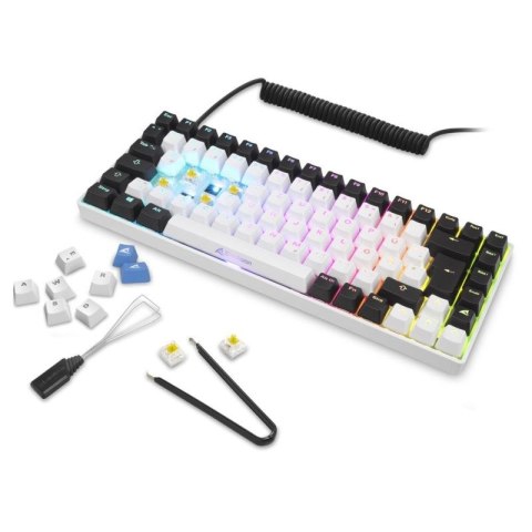 Klawiatura gamingowa Sharkoon SKILLER SGK50 S3 USB QWERTZ Niemiecki Biała
