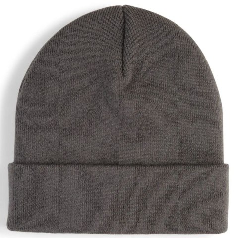 Czapka Puma High Crown Beanie Metal Cat 026404-03 Puma