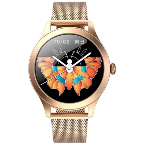 Damski SMARTWATCH G.Rossi SW014G-2 Różowe złoto G.ROSSI