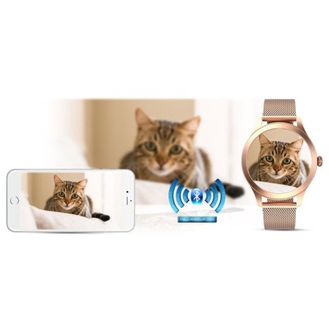 Damski SMARTWATCH G.Rossi SW014G-2 Różowe złoto G.ROSSI