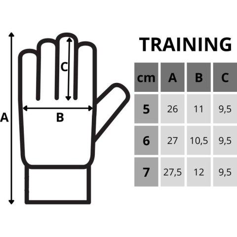 RĘKAWICE BRAMKARSKIE ENERO TRAINING R.5 Enero