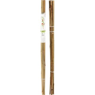 PODPORA DO ROŚLIN 60cm BAMBUS 10SZT PROGARDEN PROGARDEN