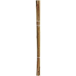 PODPORA DO ROŚLIN 60cm BAMBUS 10SZT PROGARDEN PROGARDEN