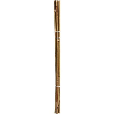 PODPORA DO ROŚLIN 60cm BAMBUS 10SZT PROGARDEN PROGARDEN
