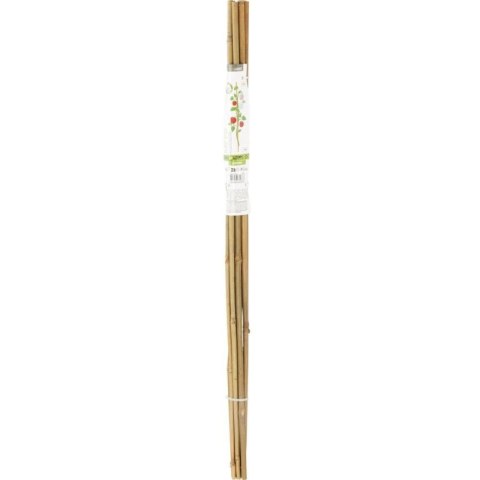 PODPORA DO ROŚLIN 60cm BAMBUS 10SZT PROGARDEN PROGARDEN