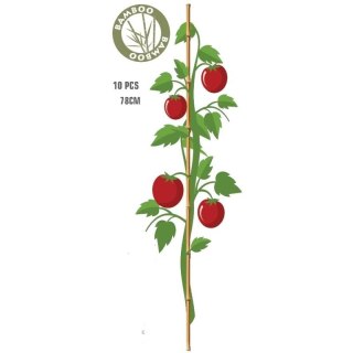 PODPORA DO ROŚLIN BAMBUSOWA TYCZKA 78 CM 10SZT PROGARDEN PROGARDEN