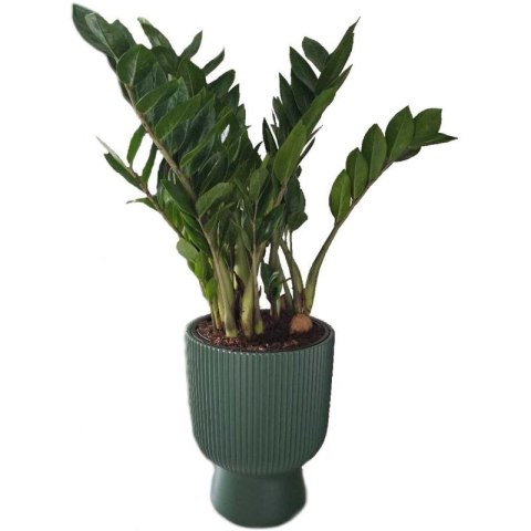 DONICZKA DO KWIATÓW MILLY NA NODZE ŚR 24CM JASNY SZARY