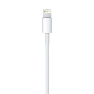 Apple Przewód ze złącza Lightning na USB (2m) MD819ZM/A
