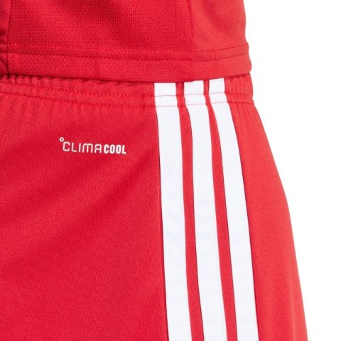Spodenki męskie adidas Tiro 26 League czerwone KA8791 Adidas