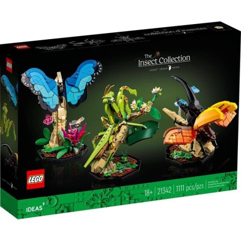 LEGO Ideas 21342 Kolekcja owadów Lego