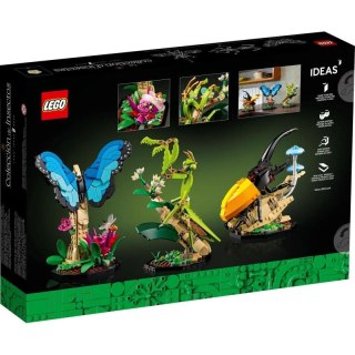 LEGO Ideas 21342 Kolekcja owadów Lego