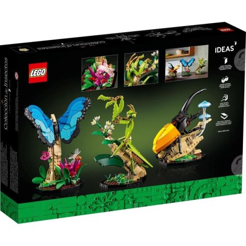 LEGO Ideas 21342 Kolekcja owadów Lego