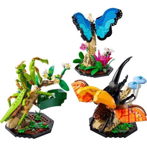 LEGO Ideas 21342 Kolekcja owadów Lego