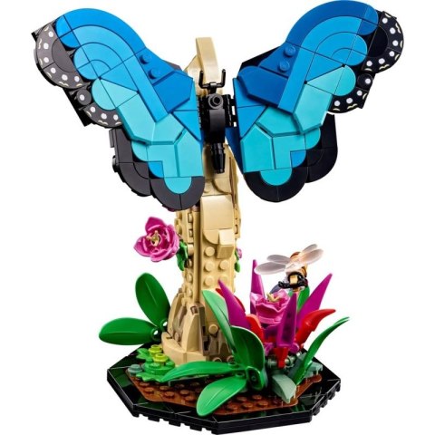 LEGO Ideas 21342 Kolekcja owadów Lego
