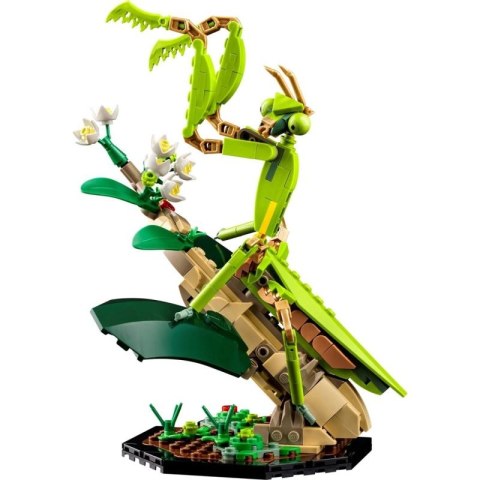 LEGO Ideas 21342 Kolekcja owadów Lego