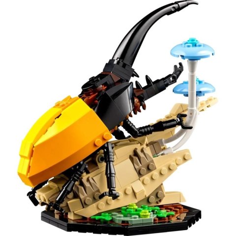 LEGO Ideas 21342 Kolekcja owadów Lego