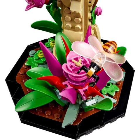 LEGO Ideas 21342 Kolekcja owadów Lego